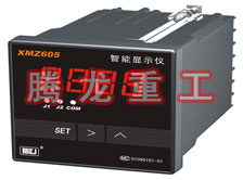 溫度表、數(shù)字顯示儀、濕度表